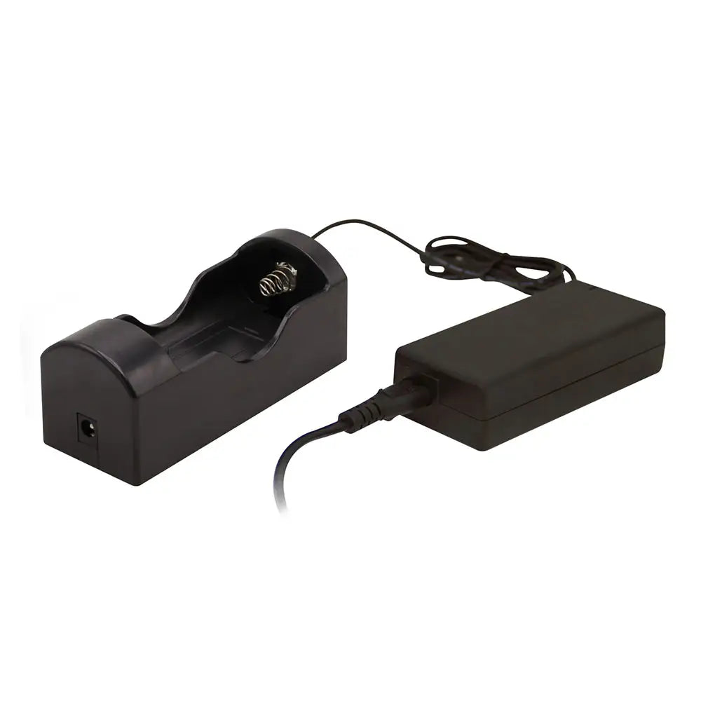 Batterioplader Bigblue 18650x3