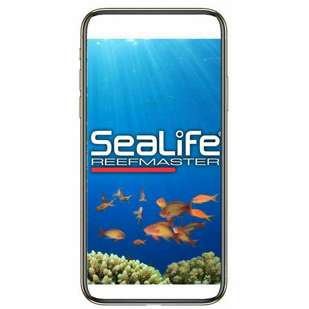 Dykkerkamera SeaLife Reefmaster RM-4K - Scubadirect