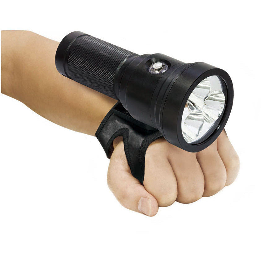 Dykljus Bigblue TL3800P