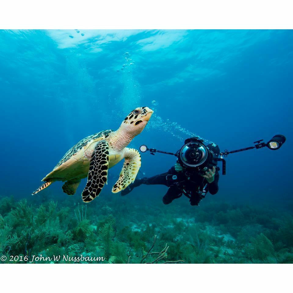 Dykkerlygte Bigblue VL18000P Pro Mini - Scubadirect