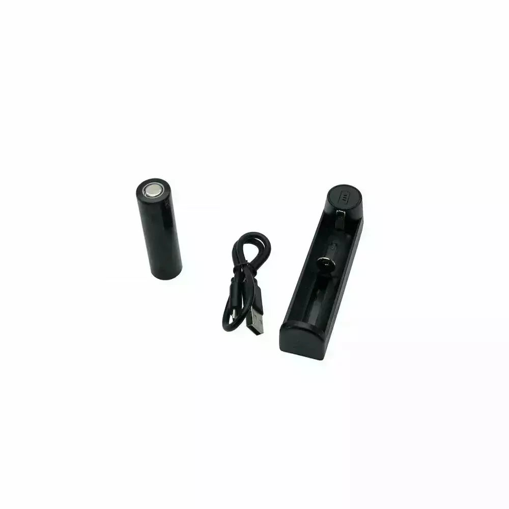 Lygte TDS Altair 1000 LM