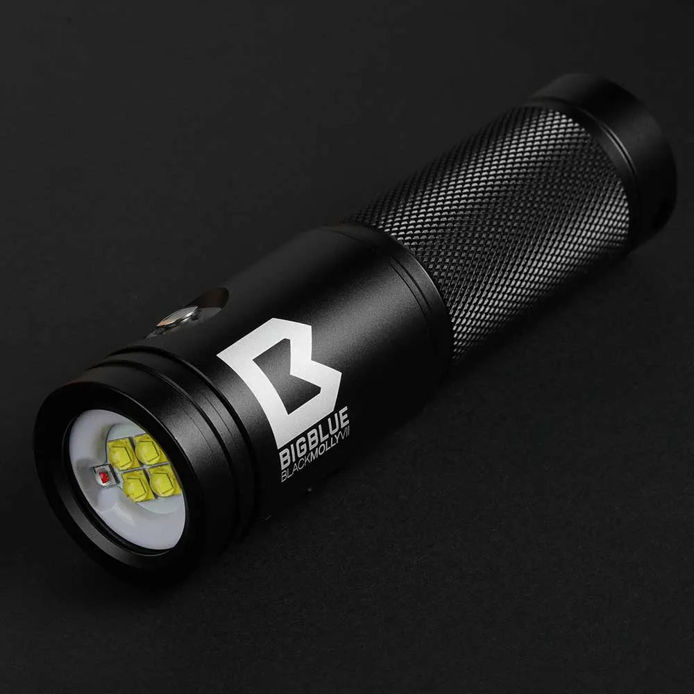 Dykkerlygte Bigblue AL2900XWP