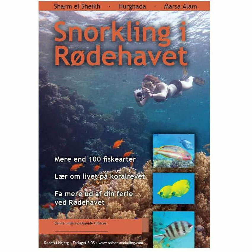 Snorkling i Rødehavet - Scubadirect